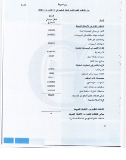 تقرير المدقق 2024